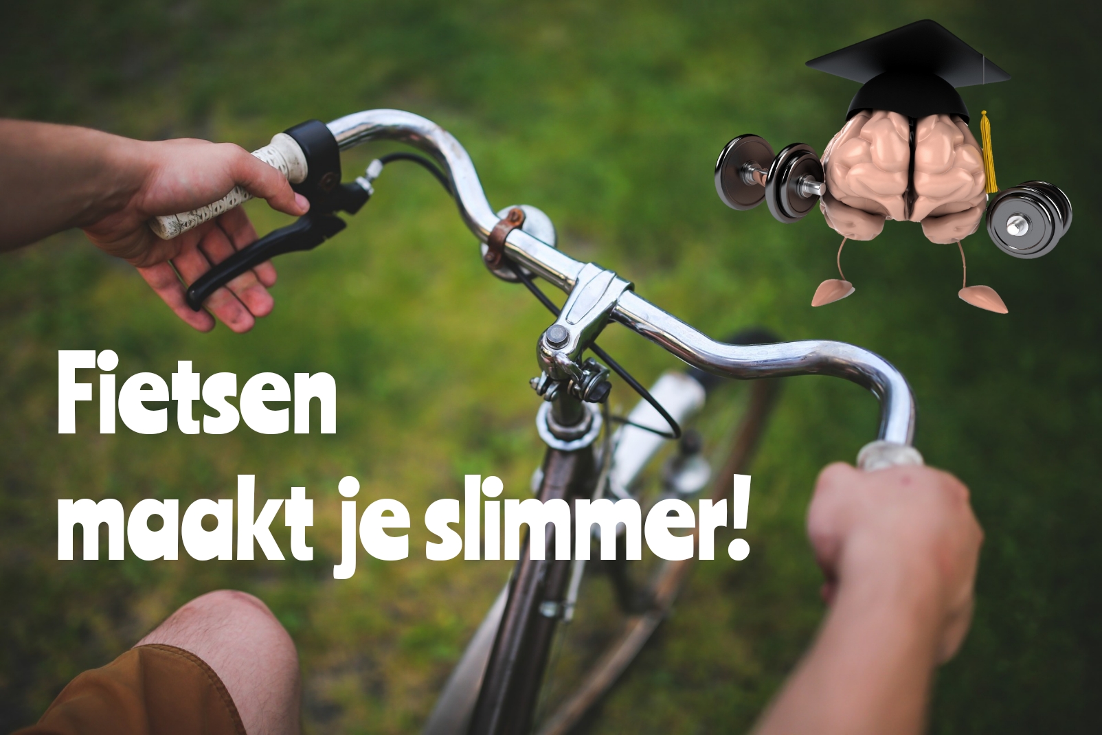 fietsen maakt je slimmer