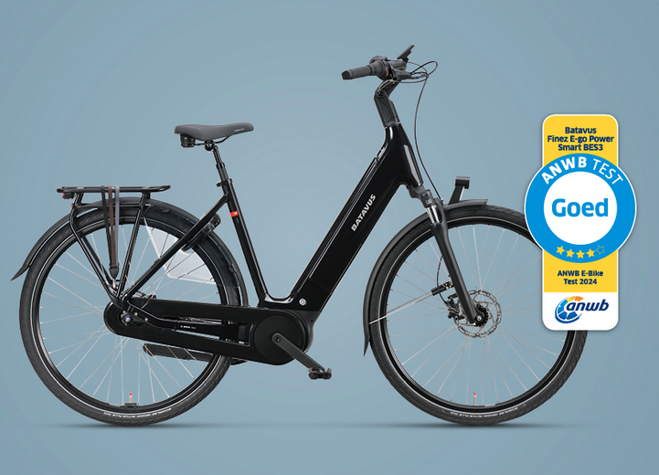 Batavus Finez E-go power